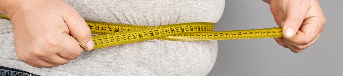 Obesitas pada Lansia